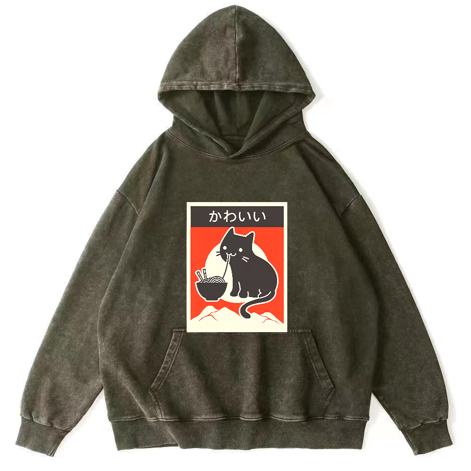 Noodle Loving Cat Patterned Washed Hoodie-Zazasy