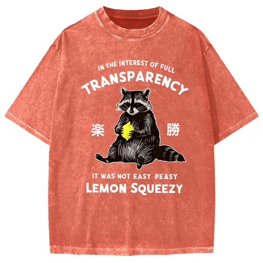 Raccoon Holding A Lemon Vintage Washed T-shirt
