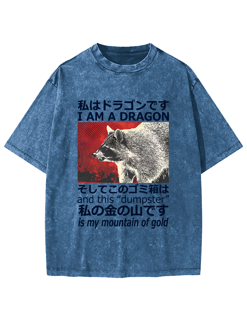 Dragon Raccoon Japanese Vintage Washed T-shirt-Zazasy
