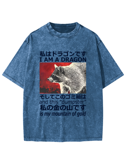 Dragon Raccoon Japanese Vintage Washed T-shirt-Zazasy