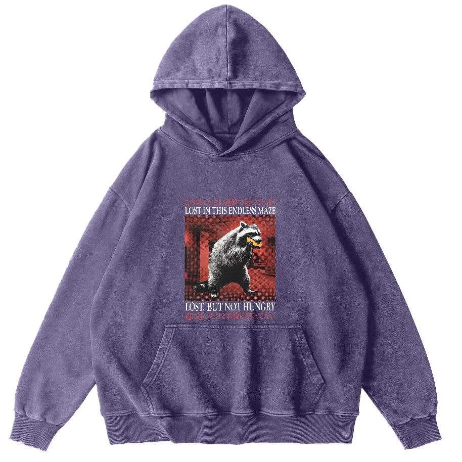 Cute Raccoon Pattern Japanese Style Vintage Distressed Hoodie-Zazasy