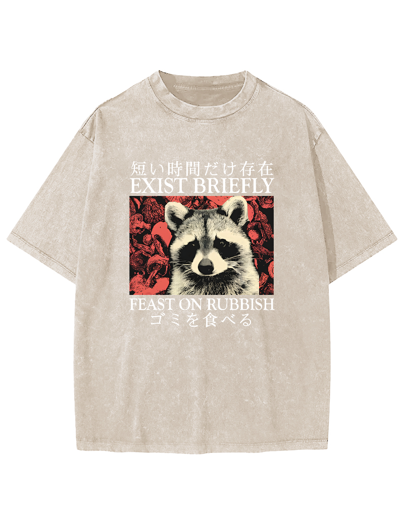 Cute Raccoon Japanese Text Vintage Distressed T-shirt-Zazasy
