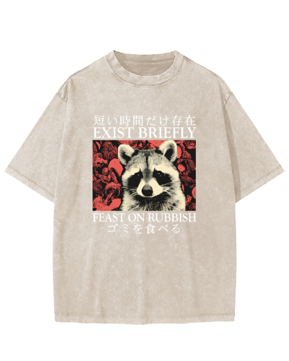 Cute Raccoon Japanese Text Vintage Distressed T-shirt-Zazasy