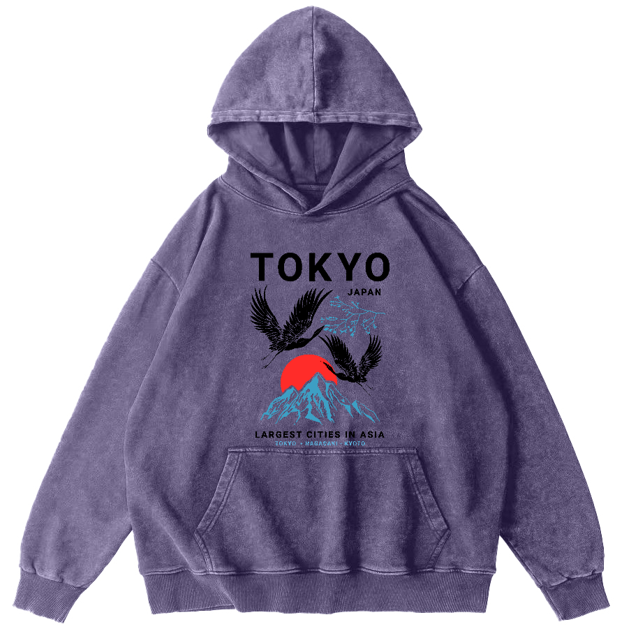 Tokyo Flying Crane Vintage Distressed Hoodie-Zazasy