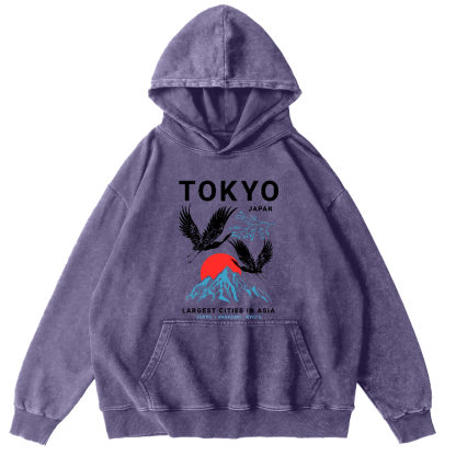 Tokyo Flying Crane Vintage Distressed Hoodie-Zazasy