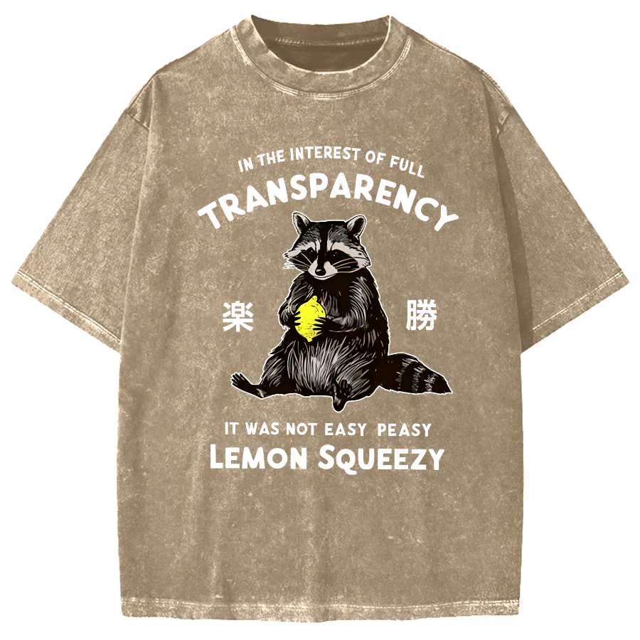 Raccoon Holding A Lemon Vintage Washed T-shirt