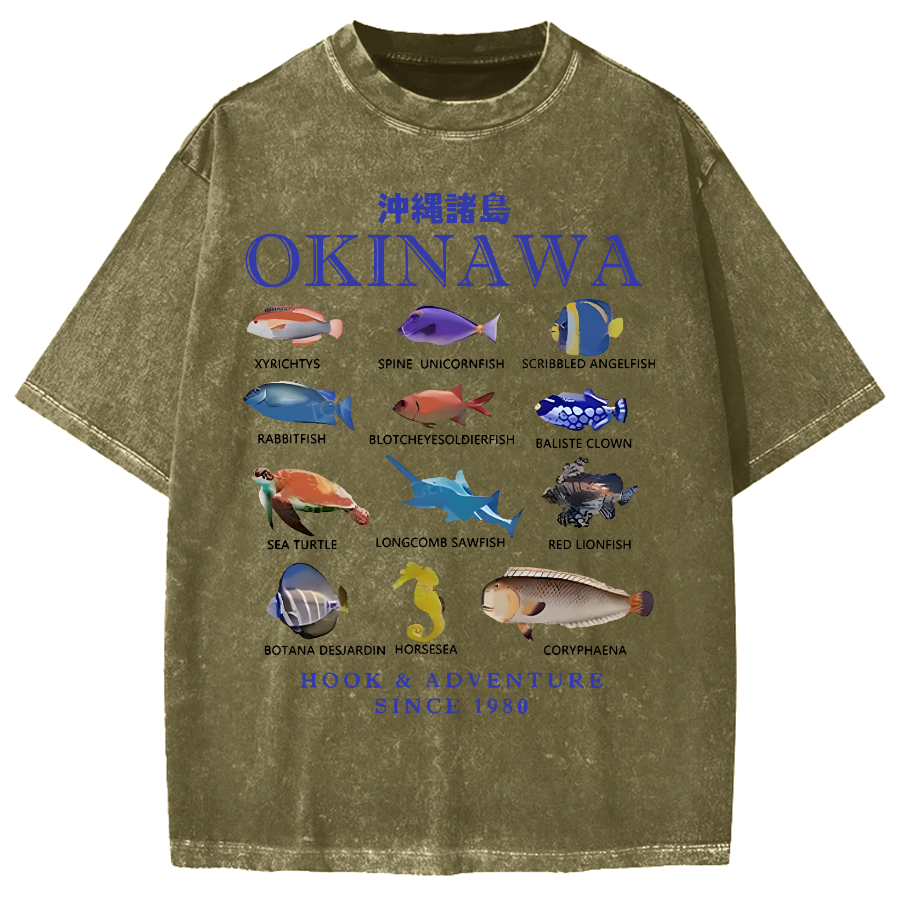 Okinawa Islands Fish Vintage Washed T-shirt
