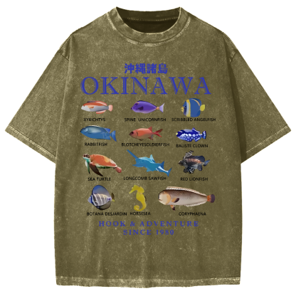 Okinawa Islands Fish Vintage Washed T-shirt