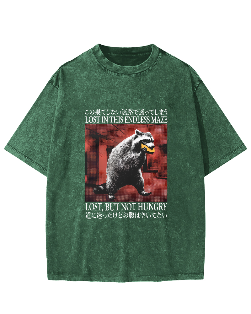 Retro Raccoon Pattern Japanese Style Vintage Distressed T-shirt-Zazasy