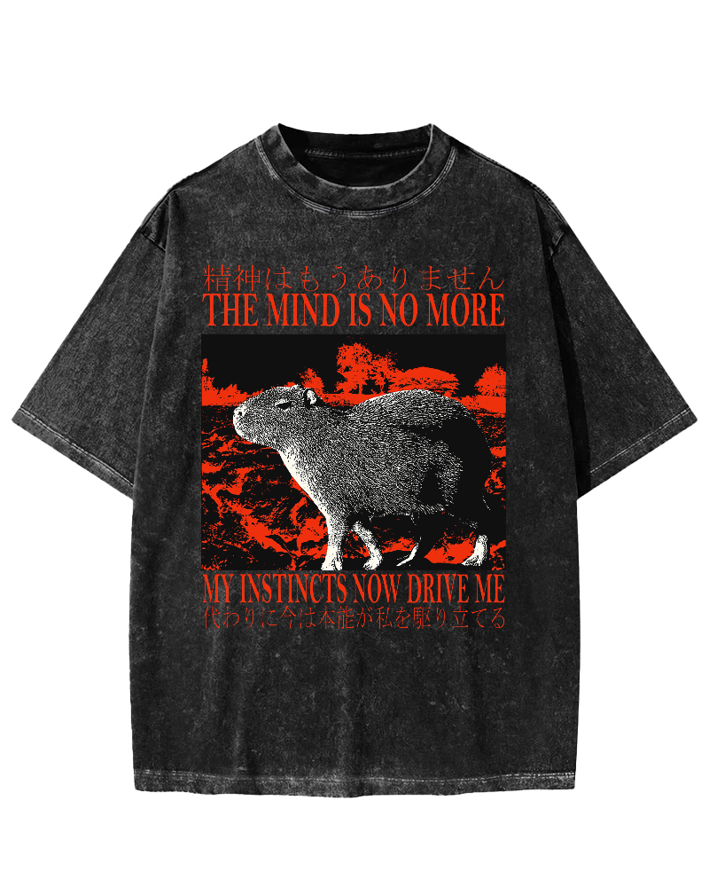 Intuition Capybara Vintage Washed T-shirt