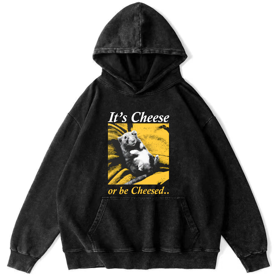 The Sleeping Little Bear Vintage Distressed Hoodie-Zazasy