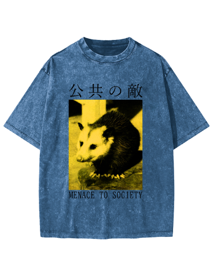 The Opossum in Public Areas Vintage Distressed T-shirt-Zazasy