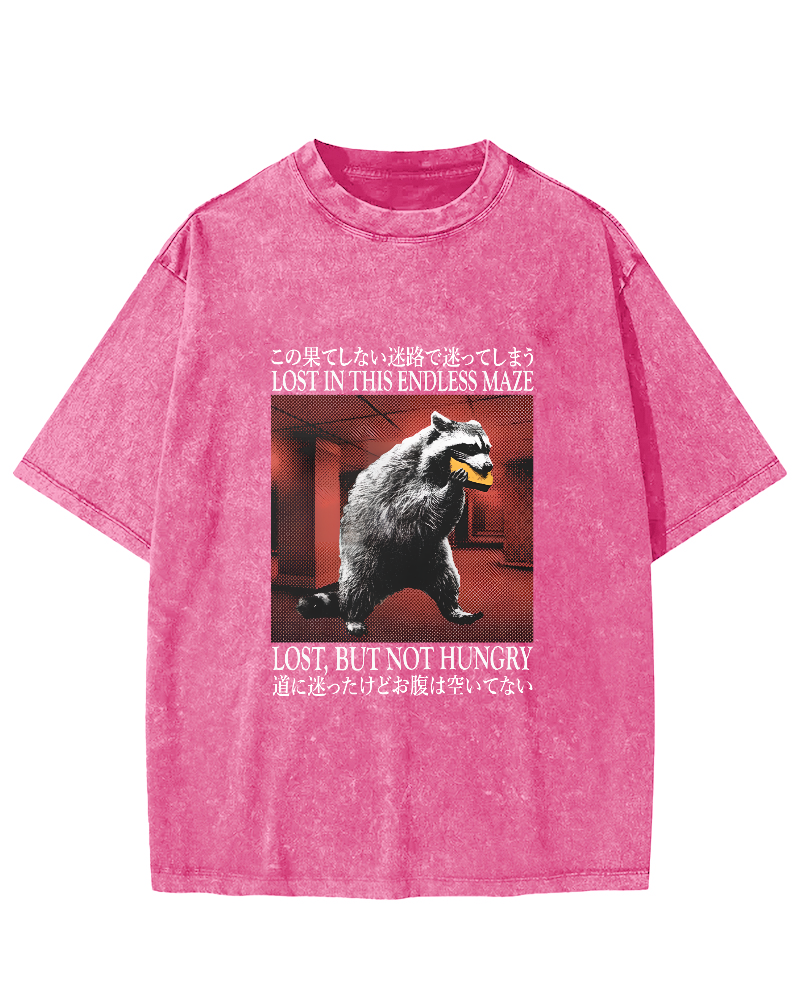 Retro Raccoon Pattern Japanese Style Vintage Distressed T-shirt-Zazasy