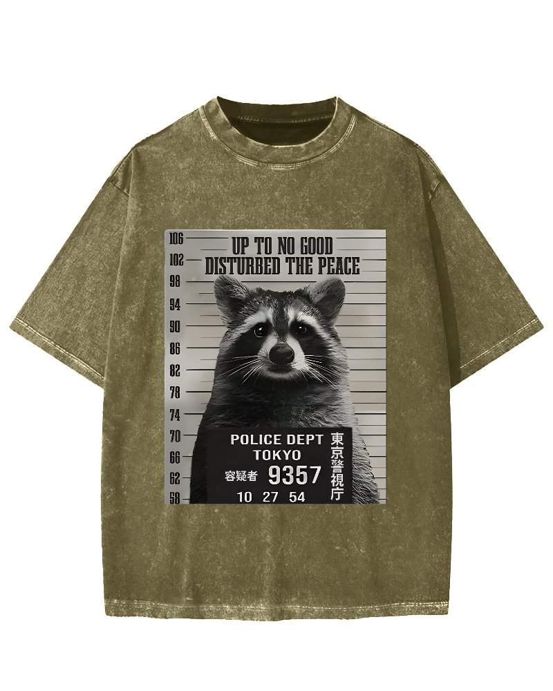 Prisoner Raccoon Vintage Washed T-shirt