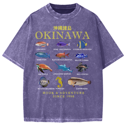 Okinawa Islands Fish Vintage Washed T-shirt