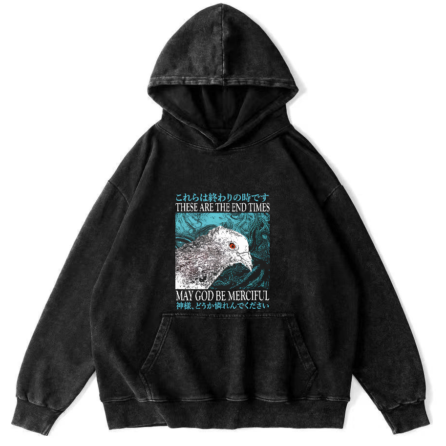 Retro Pigeon Vintage Distressed Hoodie-Zazasy