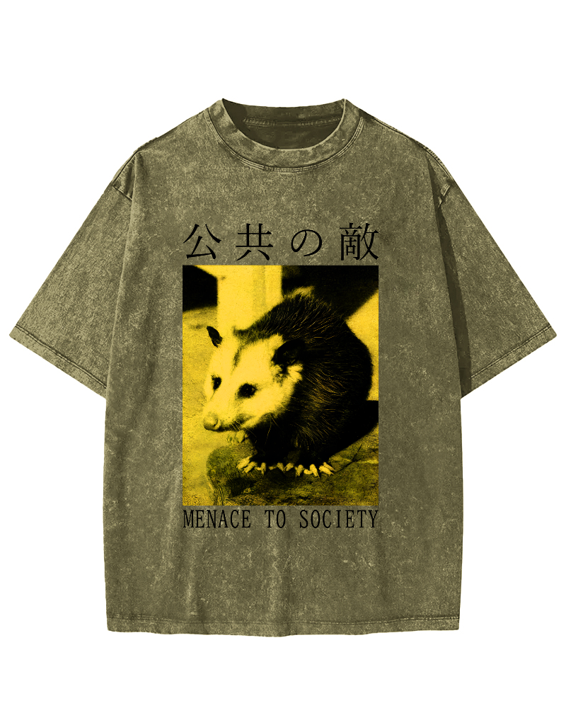 The Opossum in Public Areas Vintage Distressed T-shirt-Zazasy