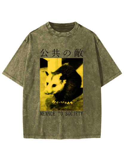 The Opossum in Public Areas Vintage Distressed T-shirt-Zazasy