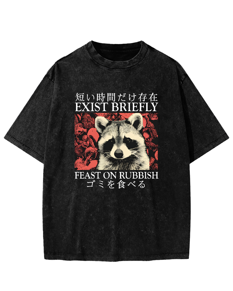 Cute Raccoon Japanese Text Vintage Distressed T-shirt-Zazasy