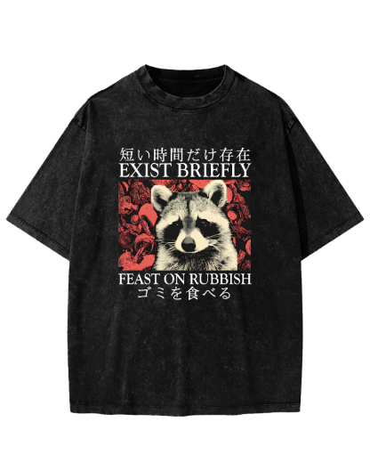 Cute Raccoon Japanese Text Vintage Distressed T-shirt-Zazasy