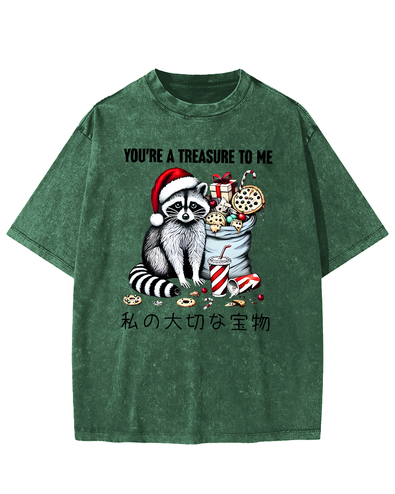 You are my treasure, Christmas wild raccoon Vintage Washed T-shirt