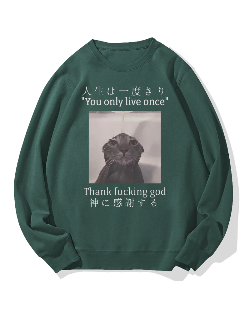 Funny Meme Cat Cotton Sweatshirt