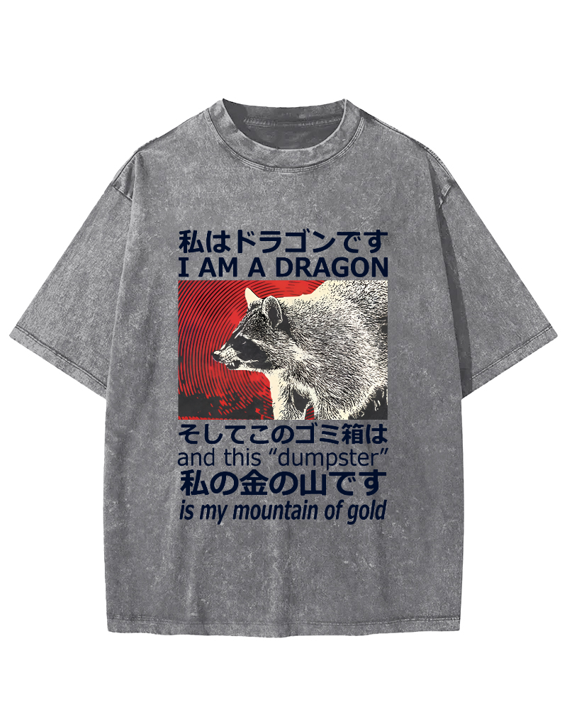 Dragon Raccoon Japanese Vintage Washed T-shirt-Zazasy