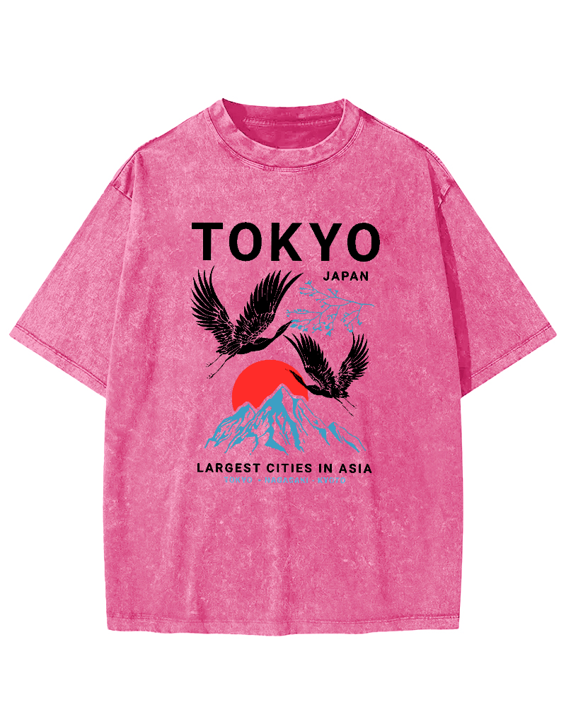 Tokyo Flying Crane Vintage Distressed T-shirt-Zazasy