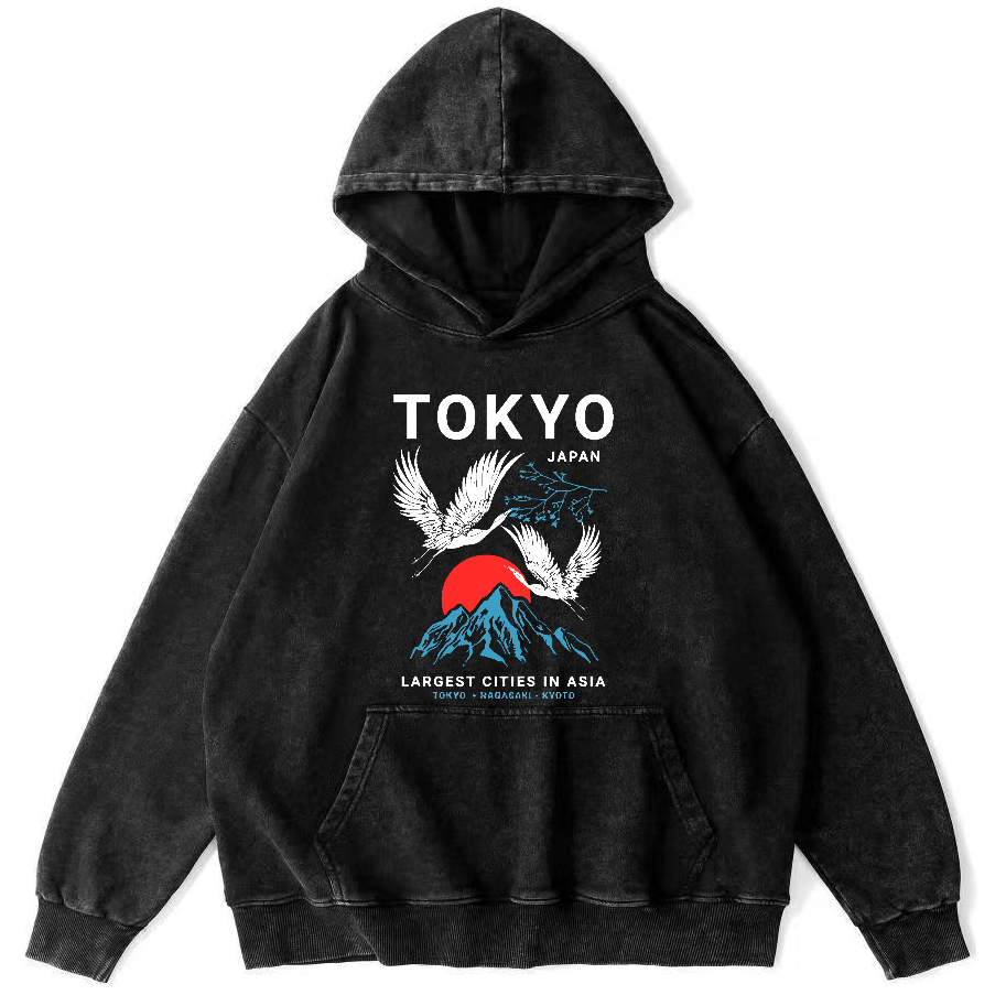 Tokyo Flying Crane Vintage Distressed Hoodie-Zazasy