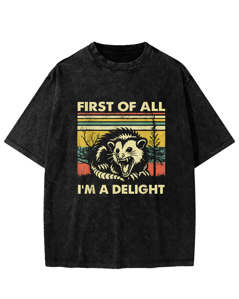 First Of All I'm A Delight Vintage Distressed T-shirt-Zazasy