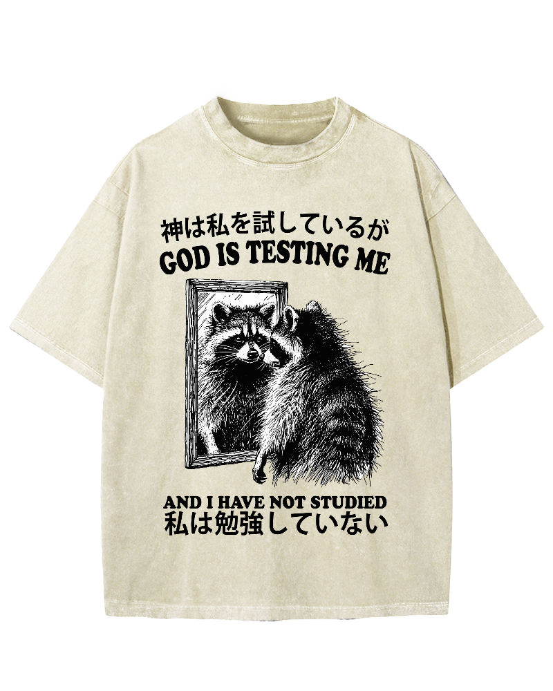 God is testing me Raccoon Vintage Washed T-shirt