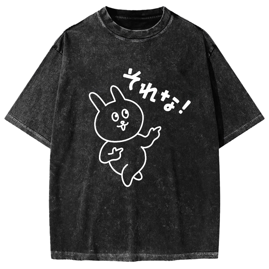 That's it. Vintage Washed T-shirt