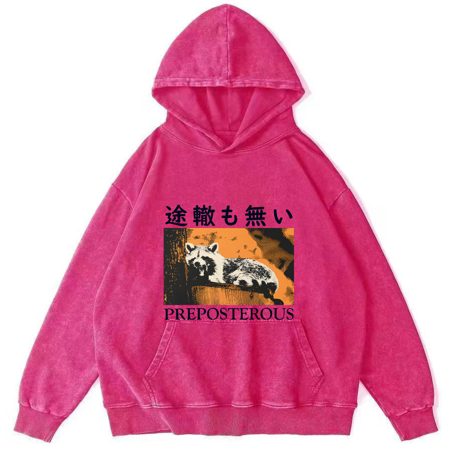 Lazy Raccoon Japanese Vintage Distressed Hoodie-Zazasy