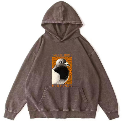 I May Be Dumb Pigeon Washed Hoodie-Zazasy