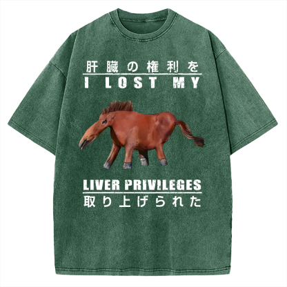 I Lost My Liver Privileges Vintage Washed T-shirt