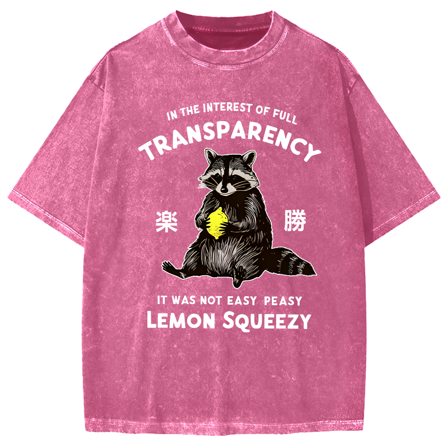 Raccoon Holding A Lemon Vintage Washed T-shirt