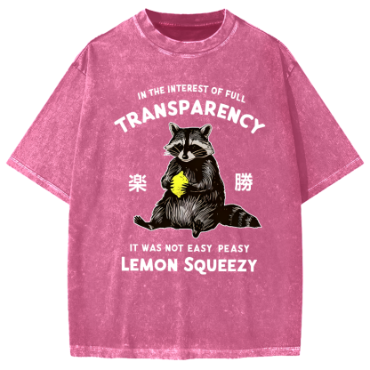 Raccoon Holding A Lemon Vintage Washed T-shirt