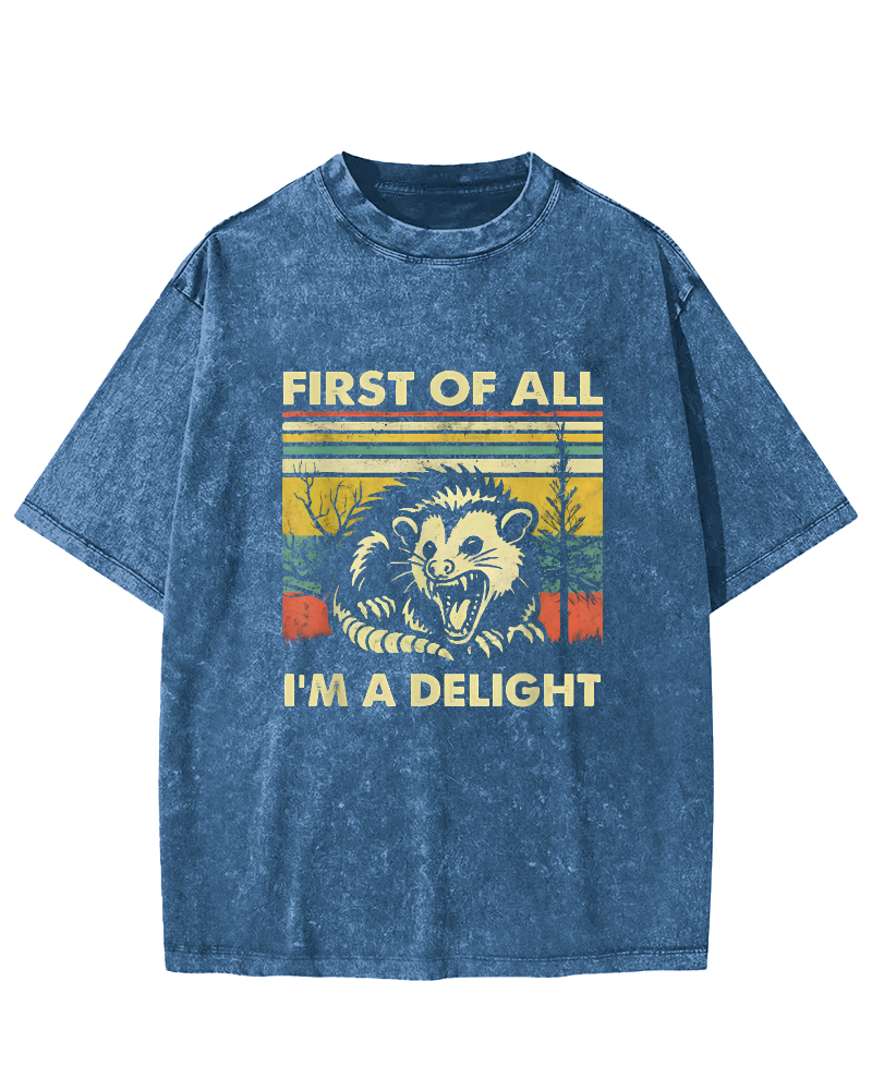 First Of All I'm A Delight Vintage Distressed T-shirt-Zazasy