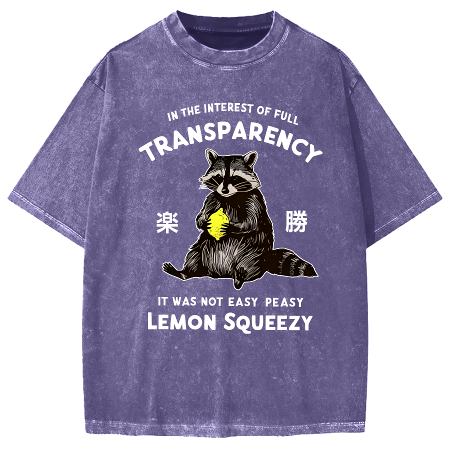 Raccoon Holding A Lemon Vintage Washed T-shirt