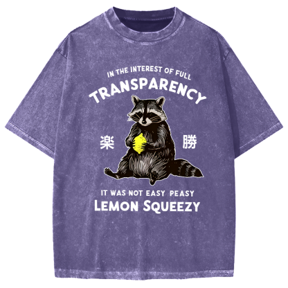 Raccoon Holding A Lemon Vintage Washed T-shirt