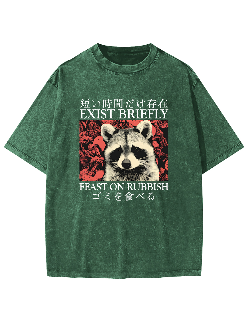 Cute Raccoon Japanese Text Vintage Distressed T-shirt-Zazasy