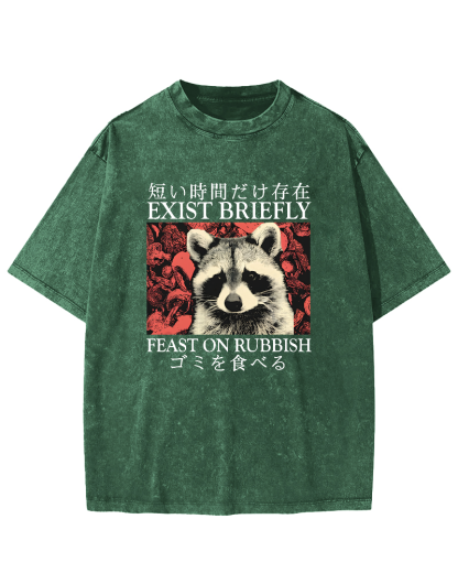 Cute Raccoon Japanese Text Vintage Distressed T-shirt-Zazasy