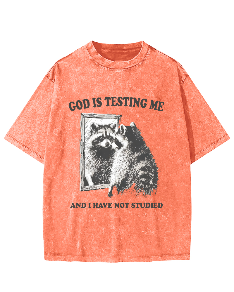God Is Testing Me Vintage Washed T-shirt-Zazasy