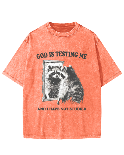 God Is Testing Me Vintage Washed T-shirt-Zazasy