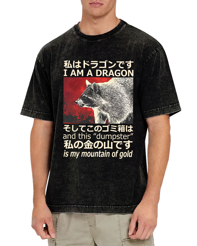 Dragon Raccoon Japanese Vintage Washed T-shirt-Zazasy