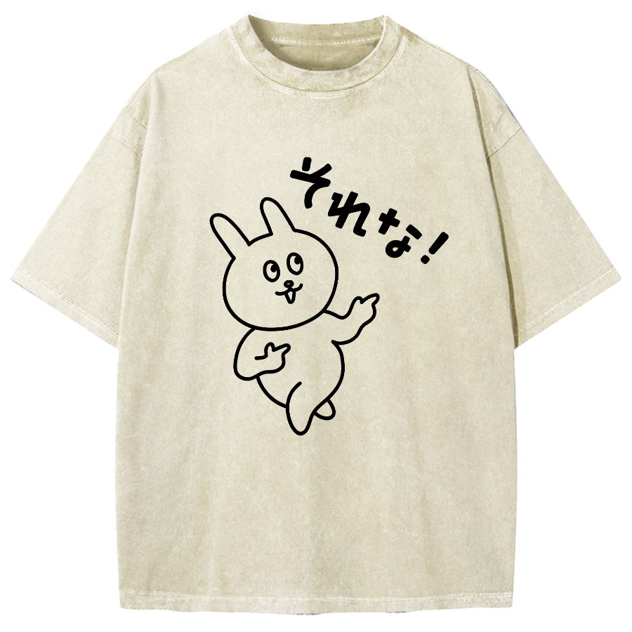 That's it. Vintage Washed T-shirt