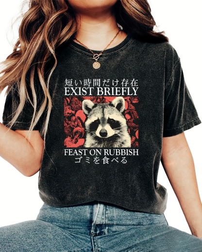 Cute Raccoon Japanese Text Vintage Distressed T-shirt-Zazasy