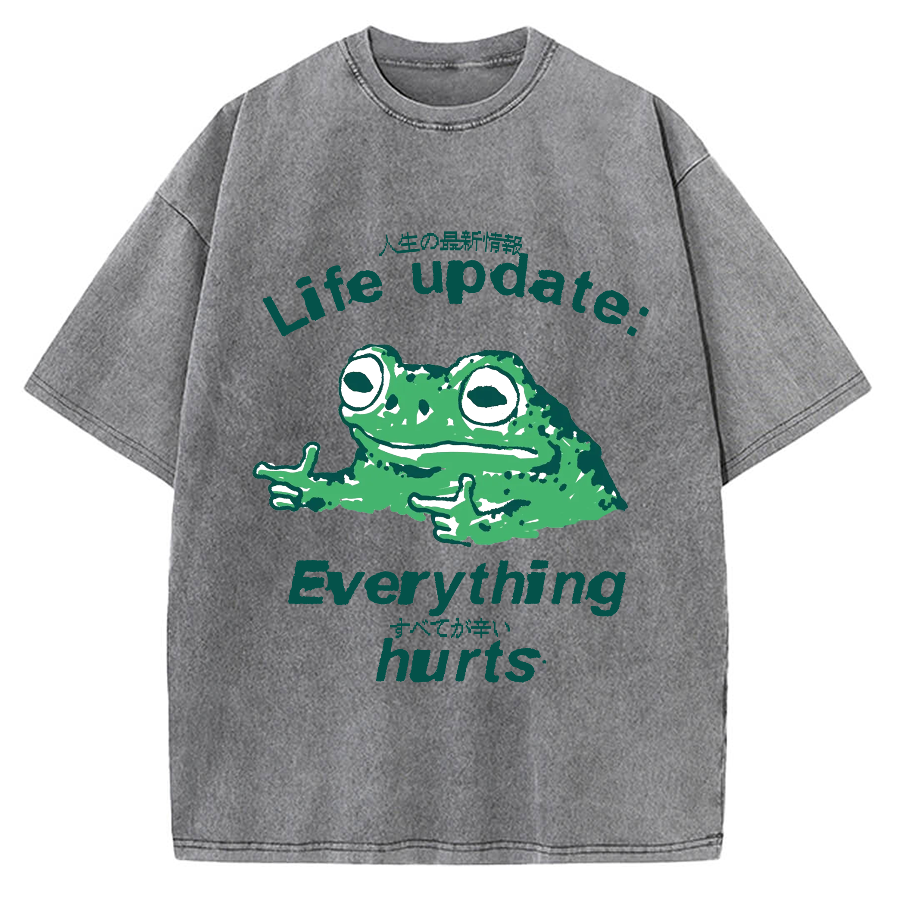 Life Update Harts Frog Vintage Washed T-shirt