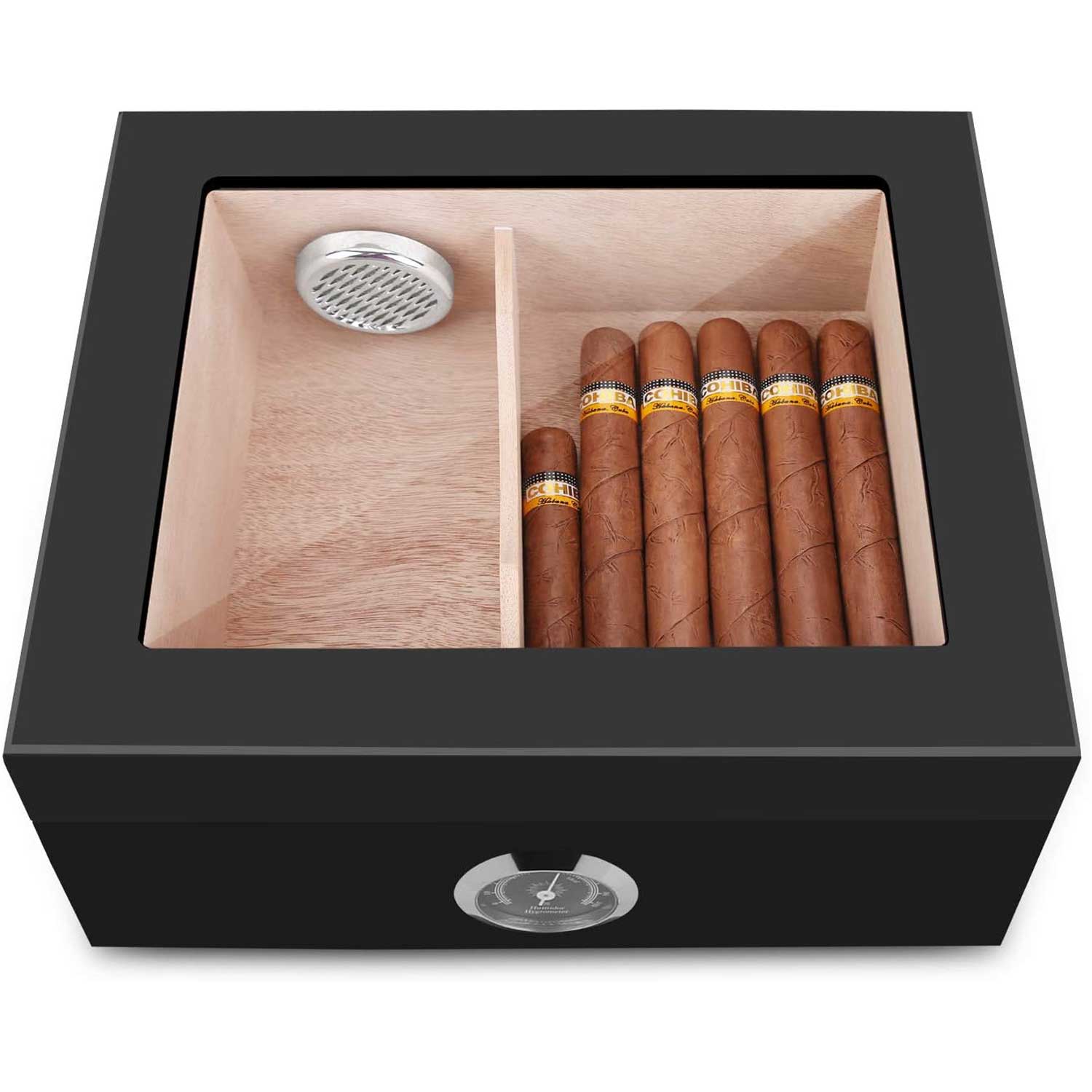 Top view of divided cedar cigar compartment beneath glass lid