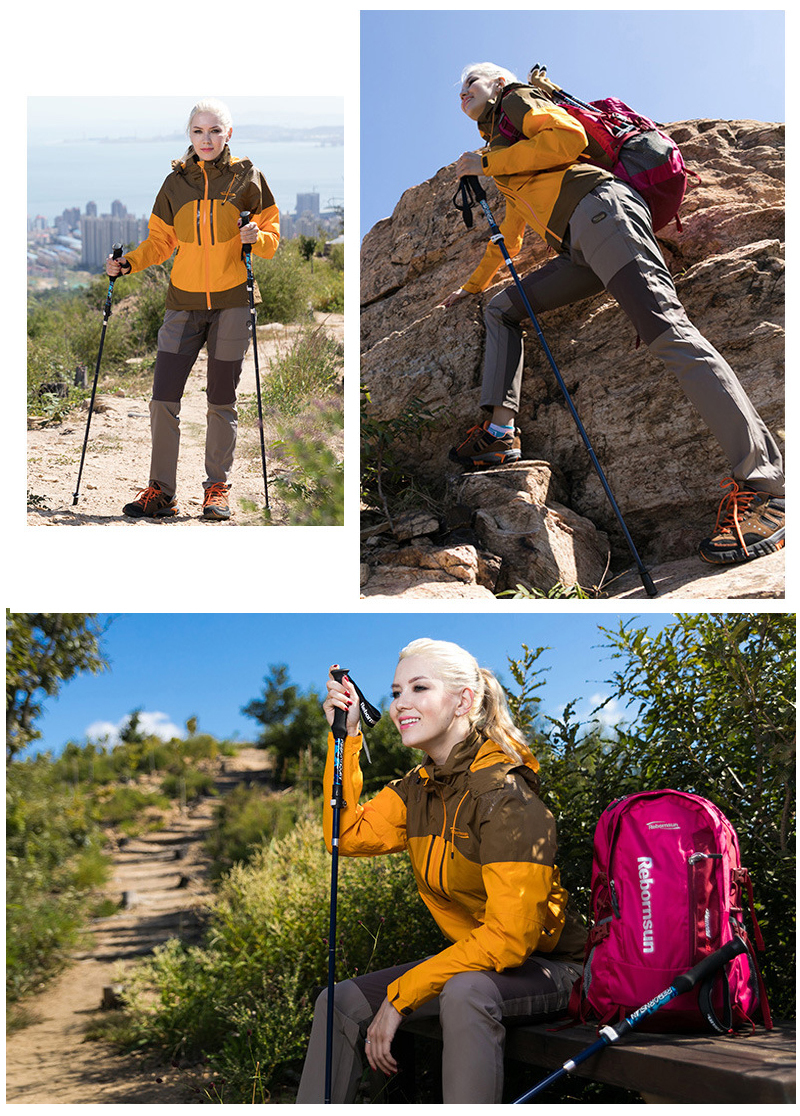 Collapsible Carbon Fiber Hiking Sticks